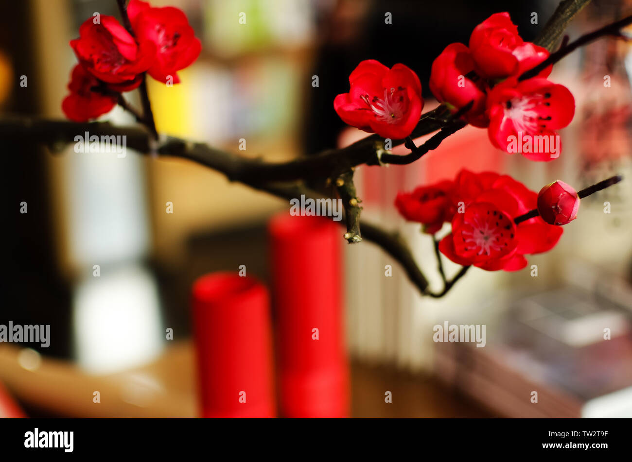 Anno Nuovo Cinese baciata e fortunato caratteri Foto Stock