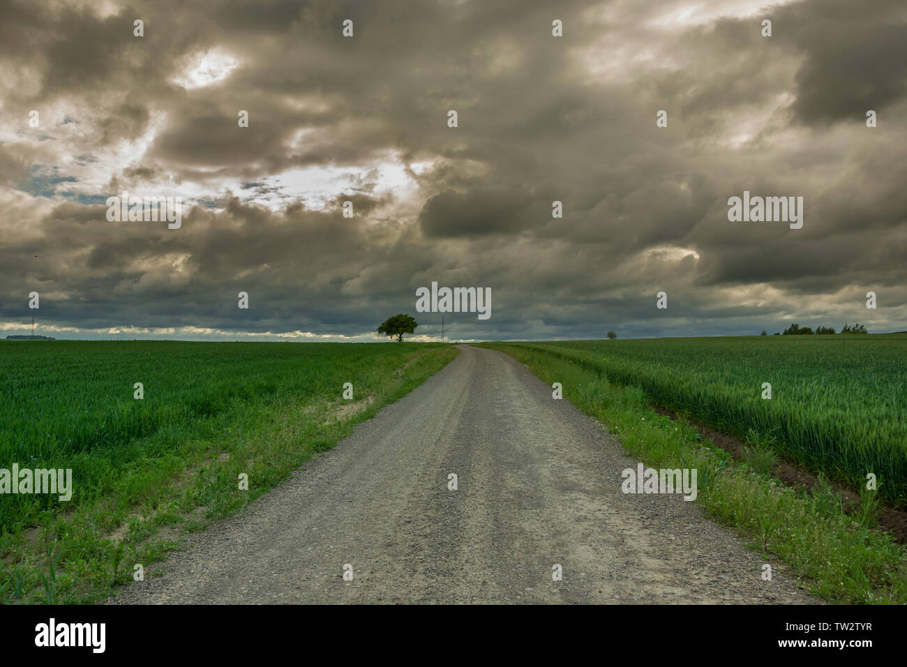 Strada di ghiaia attraverso campi verdi e le nuvole scure nel cielo. Staw, Polonia Foto Stock
