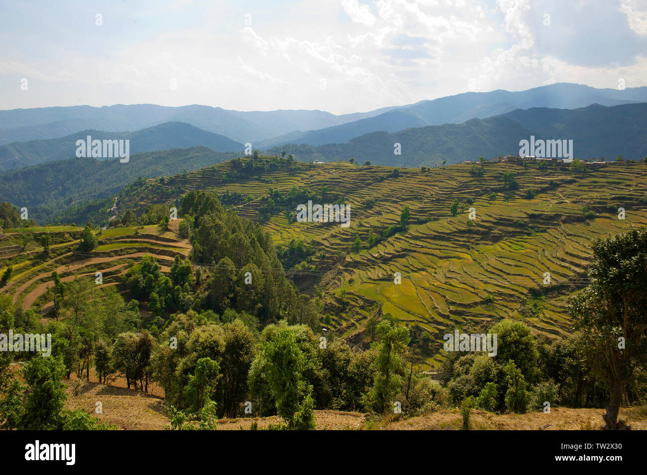 Villaggi remoti circondato da verdi campi terrazzati sulle colline di Kumaon, Uttarakhand, India settentrionale Foto Stock