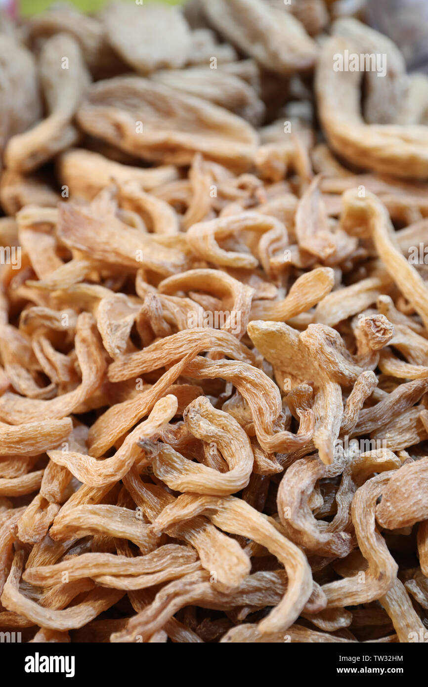 Gastrodia artemisiae Foto Stock