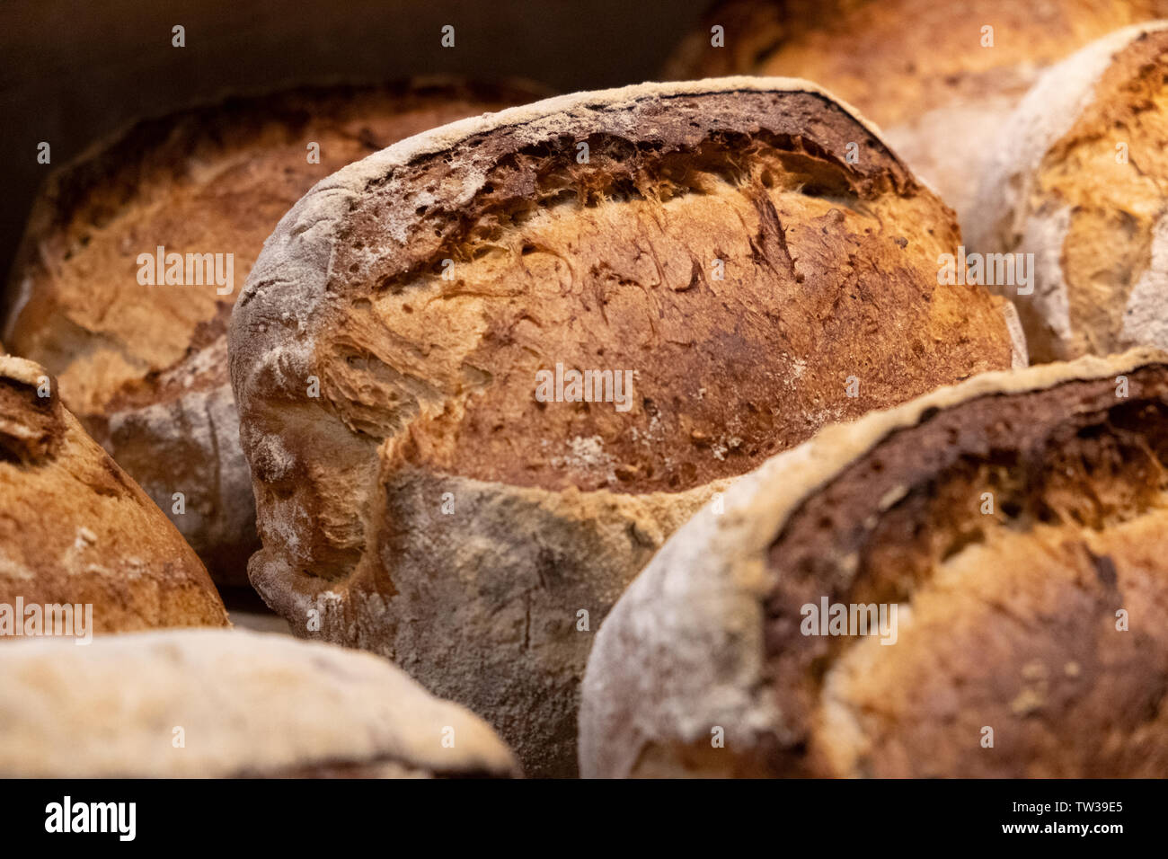 Vicino di casa fatta multigrain pane di pasta acida professionali italiani isolati da forno caldo appena uscito dal forno a legna di vecchio stile traditi sani Foto Stock