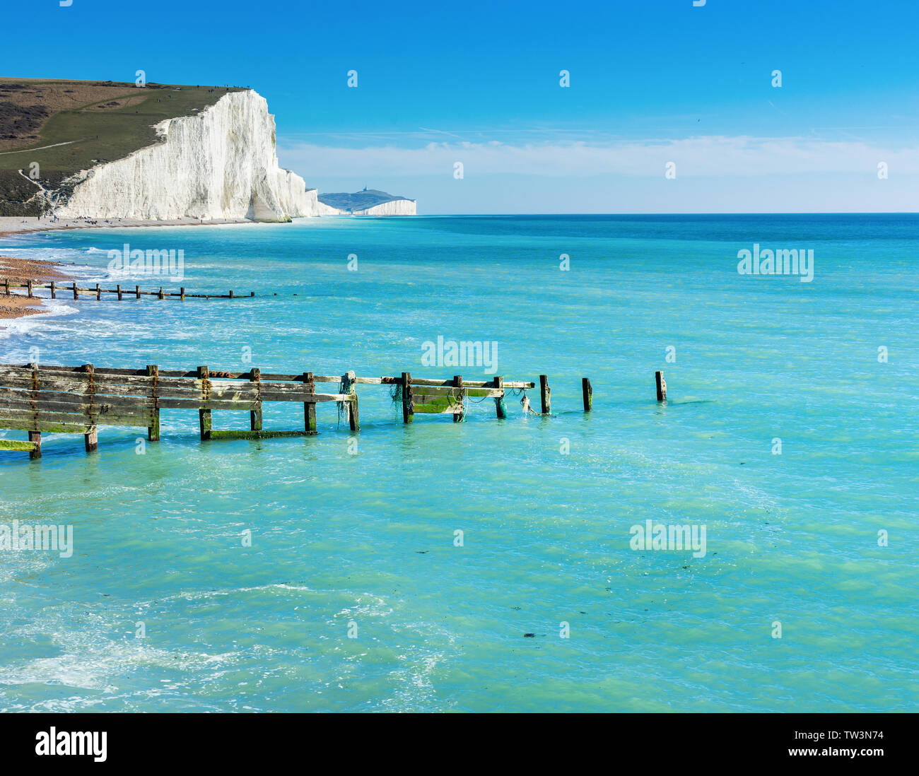 Splendida Cuckmere Haven spiaggia tra Seaford e Eastbourne, East Sussex, Inghilterra. South Downs National Park. Vista del mare blu e bianche scogliere, spiaggia, il fuoco selettivo Foto Stock