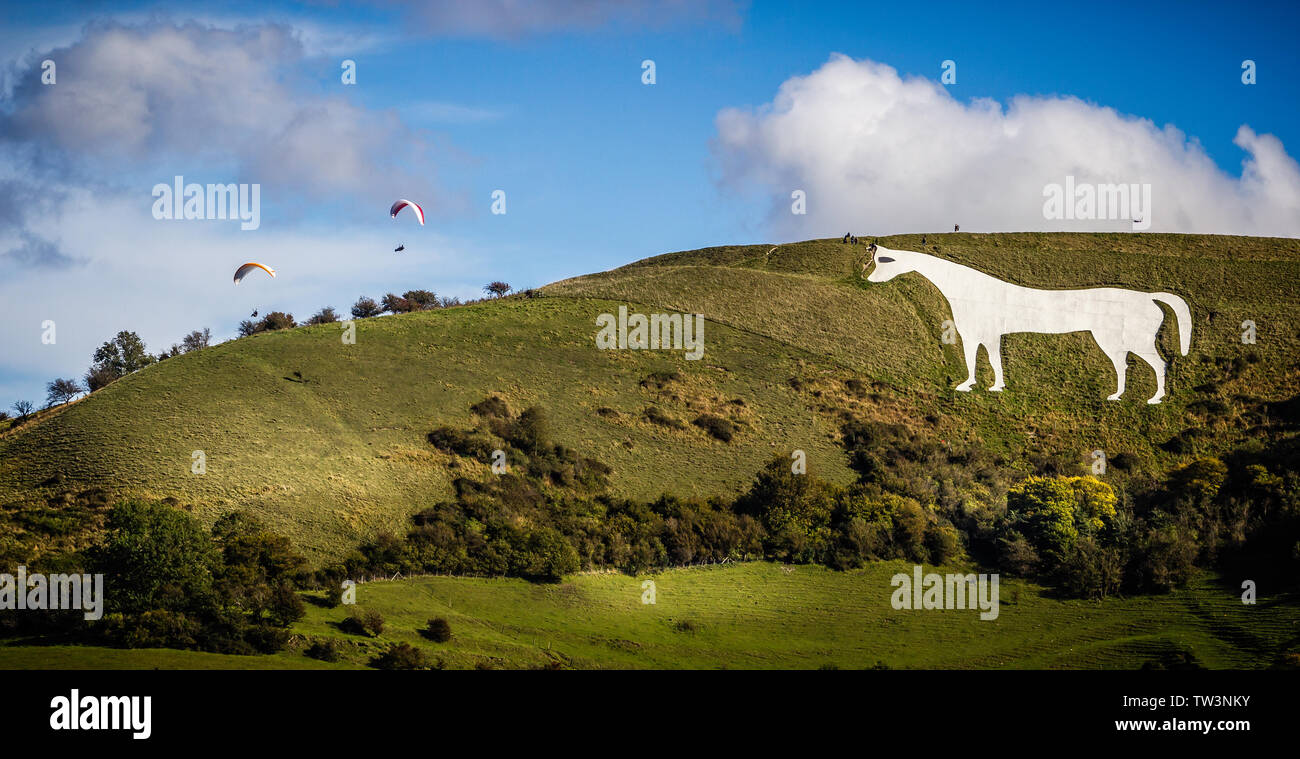 Vista di Westbury Cavallo Bianco nel Wiltshire, Regno Unito con i parapendii galleggiante sopra Foto Stock