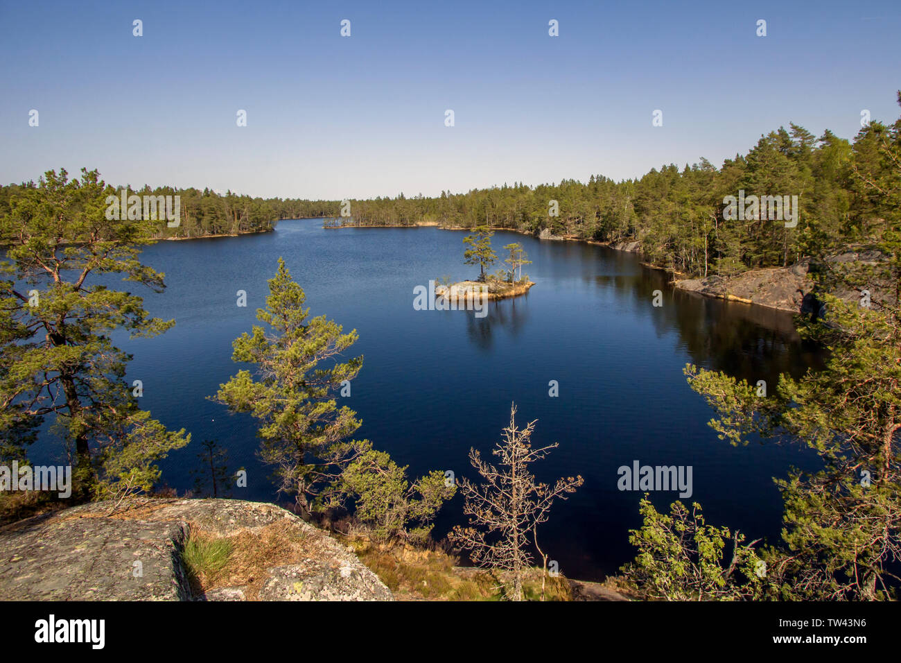 Tiresta dal Parco Nazionale vicino alla città di Stoccolma Foto Stock