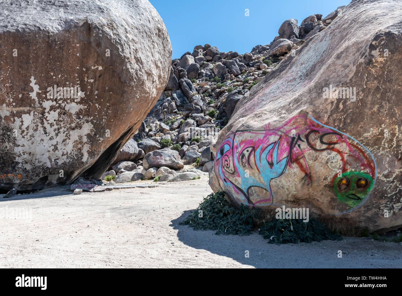Campo di roccia nelle vicinanze Giant Rock è stato un luogo di incontro per i credenti UFO negli anni Cinquanta nelle vicinanze Landers, la California del Sud Foto Stock