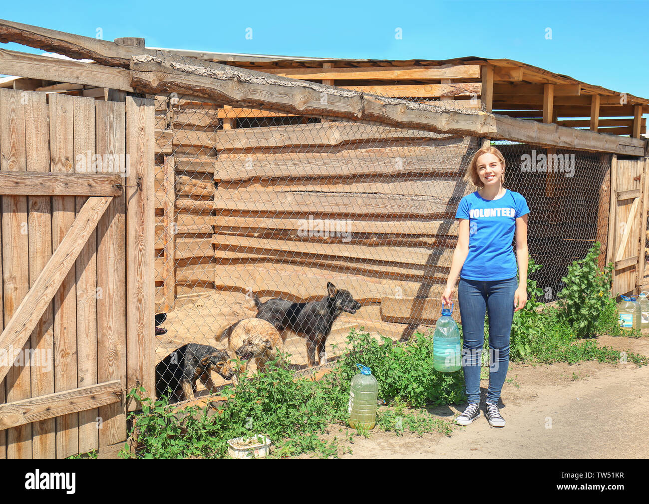 Volontari femmina dando acqua per i cani in gabbia di ricovero Foto Stock