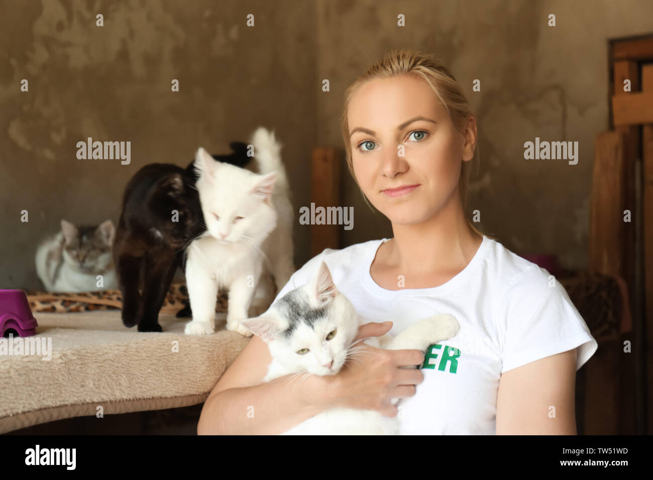 Volontari di sesso femminile con gatti senzatetto in animal shelter Foto Stock