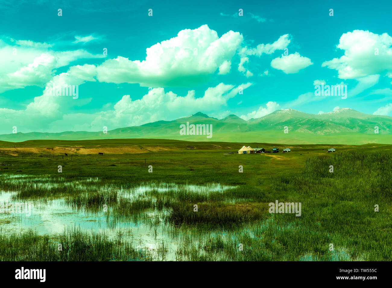 Bayinbrook Prairie, Yili, Xinjiang Foto Stock