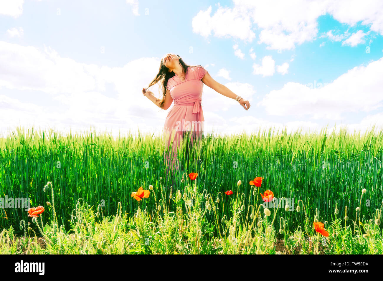 Con i capelli lunghi donna in un abito rosa su un campo di grano verde e papaveri selvatici. Foto Stock
