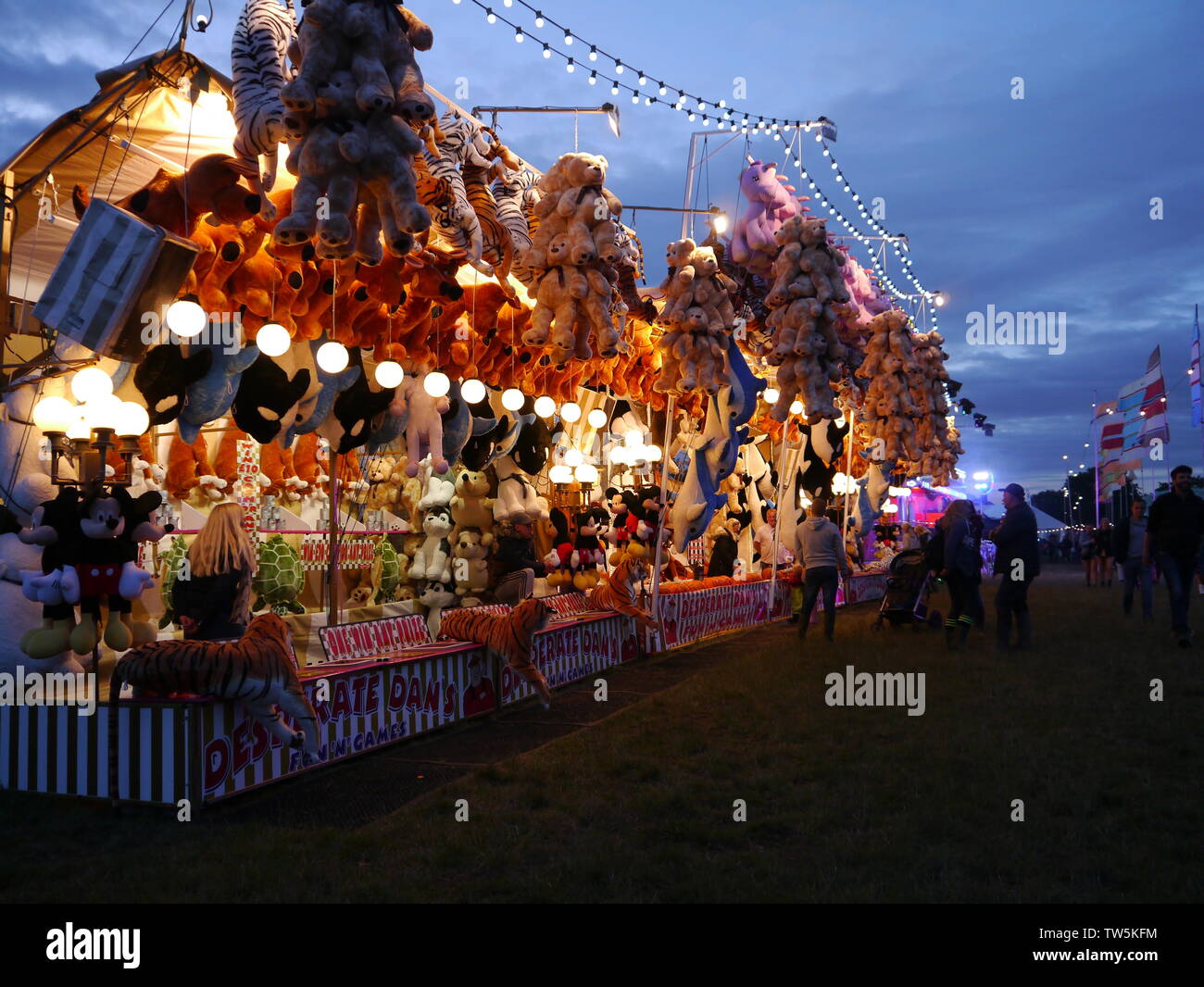 Isle of Wight Festival 2019, fiera di bancarelle, teddys, animali imbalsamati, tigri, giocattoli, striata bunting. Foto Stock