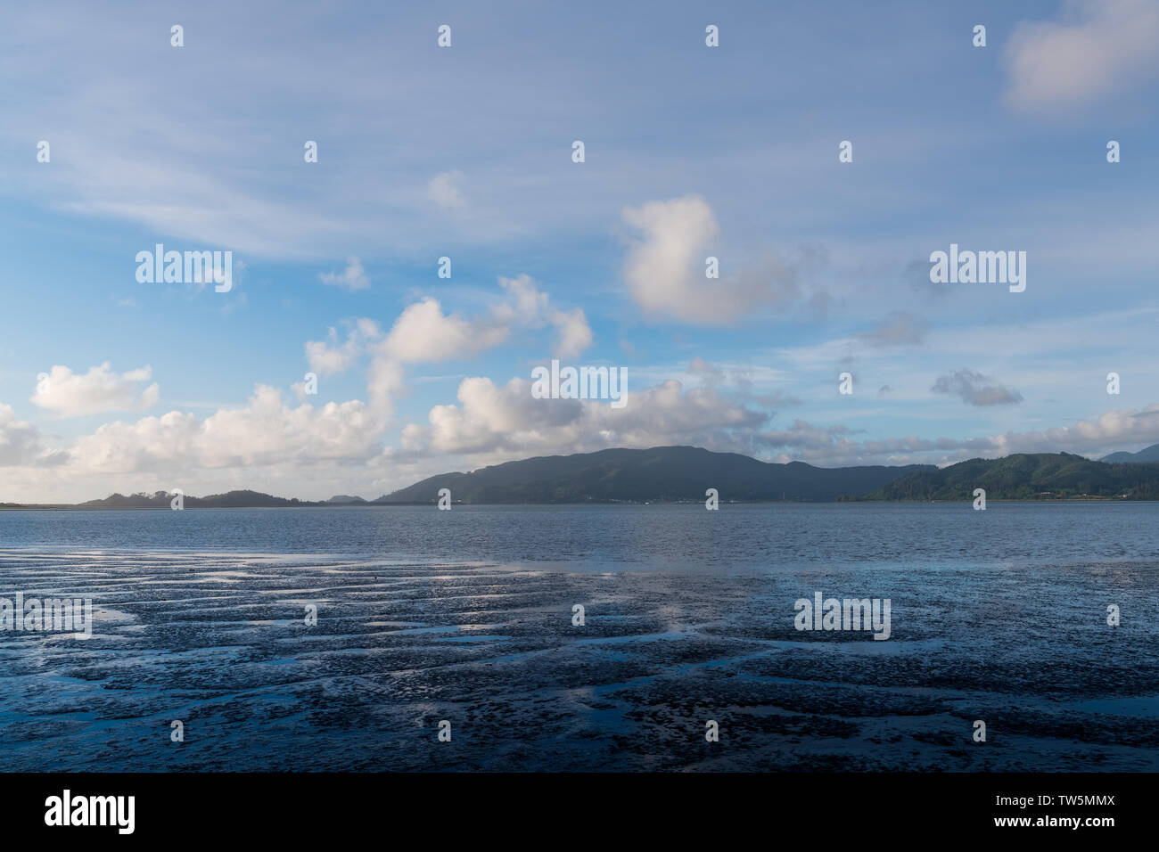 Cielo blu e nuvole bianche si riflette in una configurazione di acqua modi attraverso le piane di marea sotto le montagne boscose e colline sulla costa dell'Oregon vicino Tillamo Foto Stock