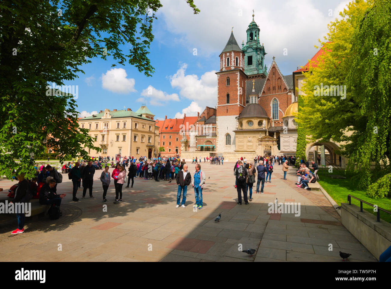 Castello di Wawel Hill a Cracovia, Polonia Foto Stock
