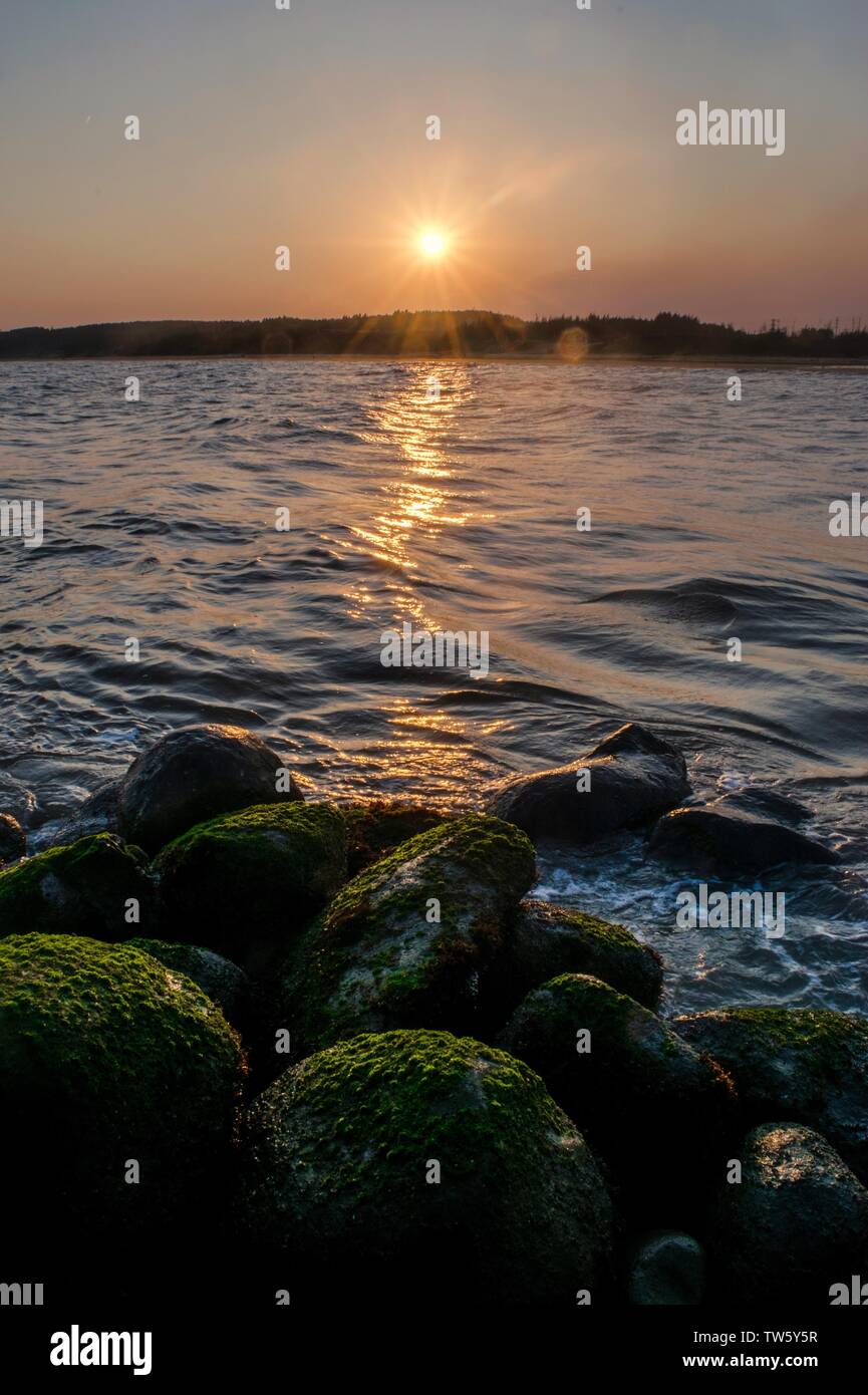 Un residuo di sun lastricata l'acqua. Foto Stock