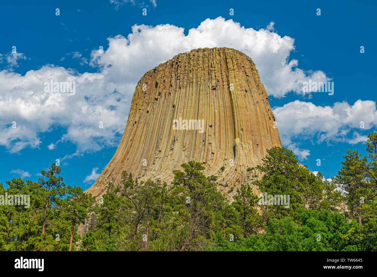 L'imponente roccia geologico formazione di Devils Tower National Monument vicino a Buffalo in stato del Wyoming, Stati Uniti d'America, Stati Uniti d'America. Foto Stock