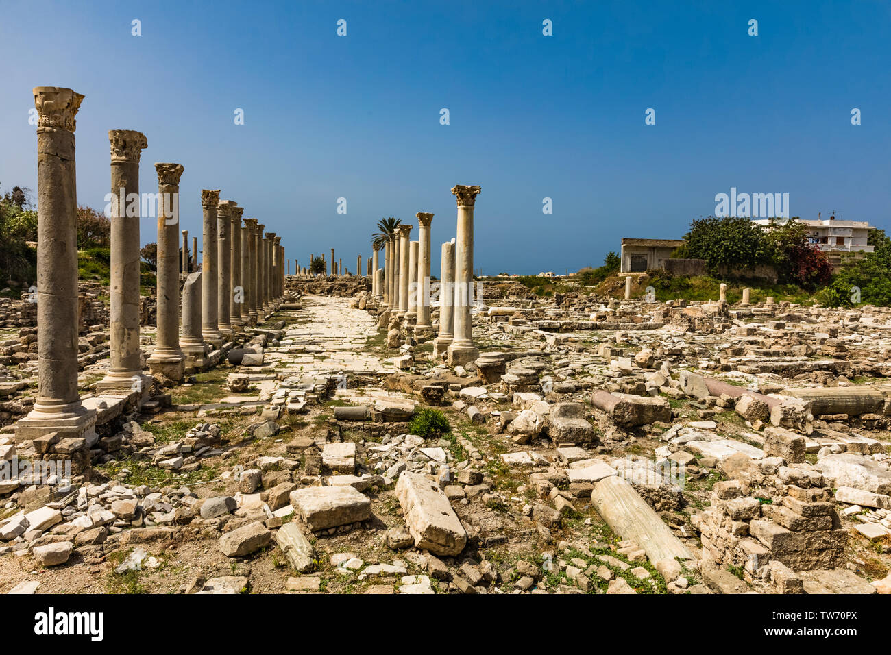 Rovine romane pneumatico Sur nel sud del Libano medio oriente Foto Stock