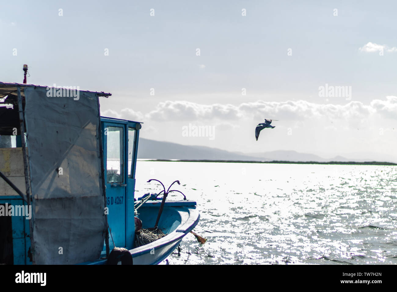 Una buona ricerca seascape sparare con alcune barche di legno - un uccello in volo. foto ha preso a Izmir/Turchia. Foto Stock