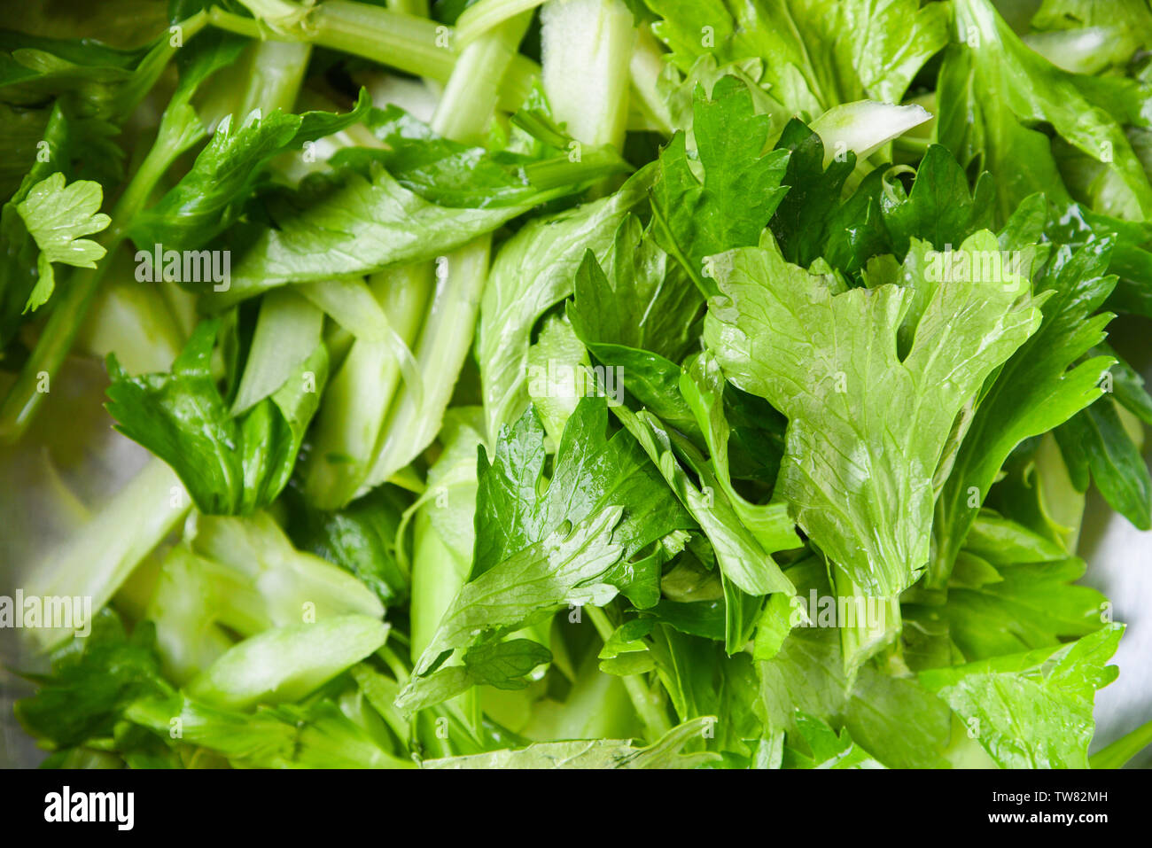 Fresh Celery vegetable / leaves of celery slice background for health food Foto Stock