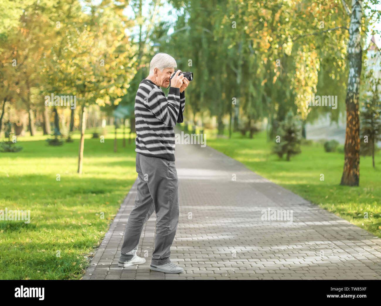 Elegante uomo maturo tenendo la foto in autunno park Foto Stock