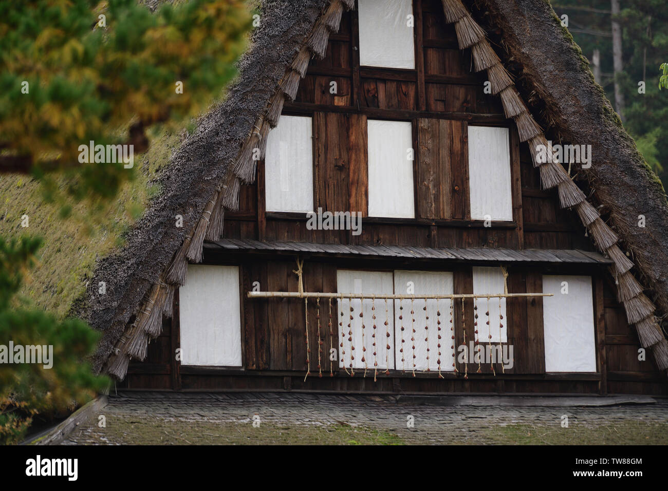 Tradizionale Giapponese del Gassho-casa colonica in stile dettagli architettonici closeup, Hida Folk Village, Takayama, Prefettura di Gifu, Giappone. Foto Stock