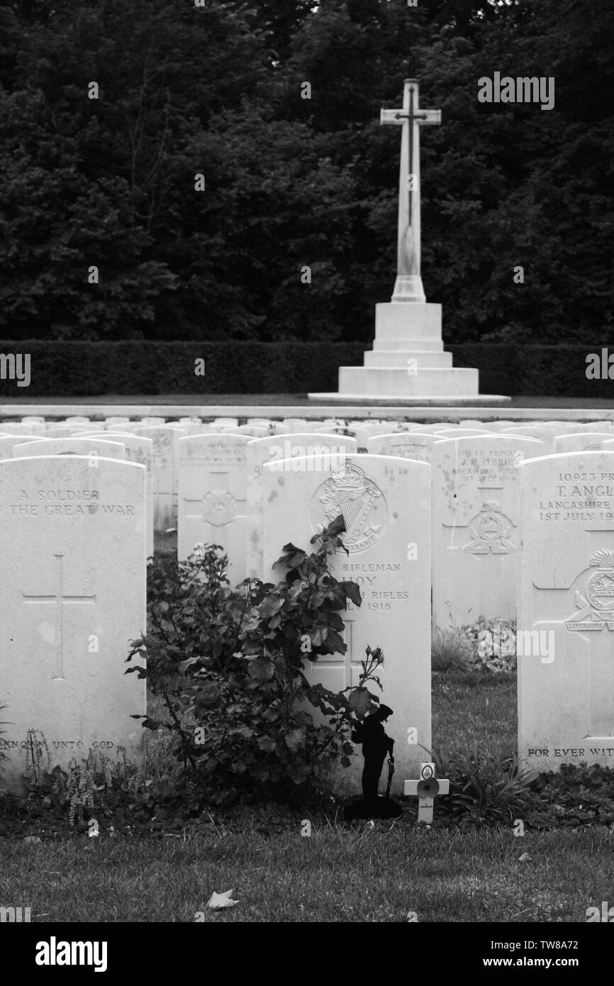 La Prima guerra mondiale campi di battaglia Foto Stock