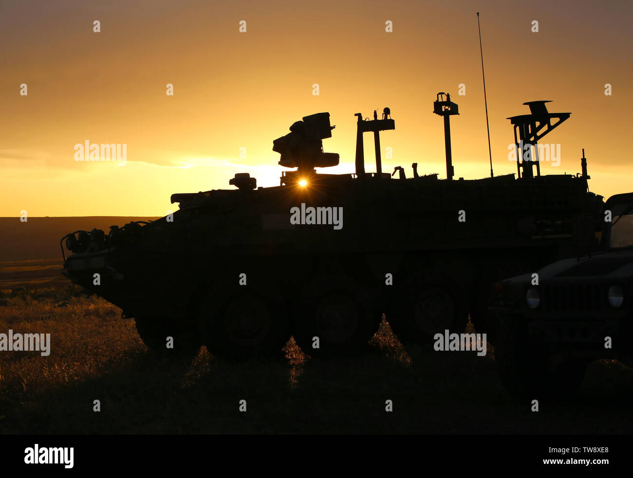 Un Stryker dal 3° Battaglione, 161Reggimento di Fanteria, si illumina al tramonto a Yakima Training Center mentre è in attesa di fuoco di notte per iniziare. La fanteria 3-161 partecipano a baionetta messa a fuoco come un conduttore fino a un NTC rotazione il prossimo anno. Foto Stock