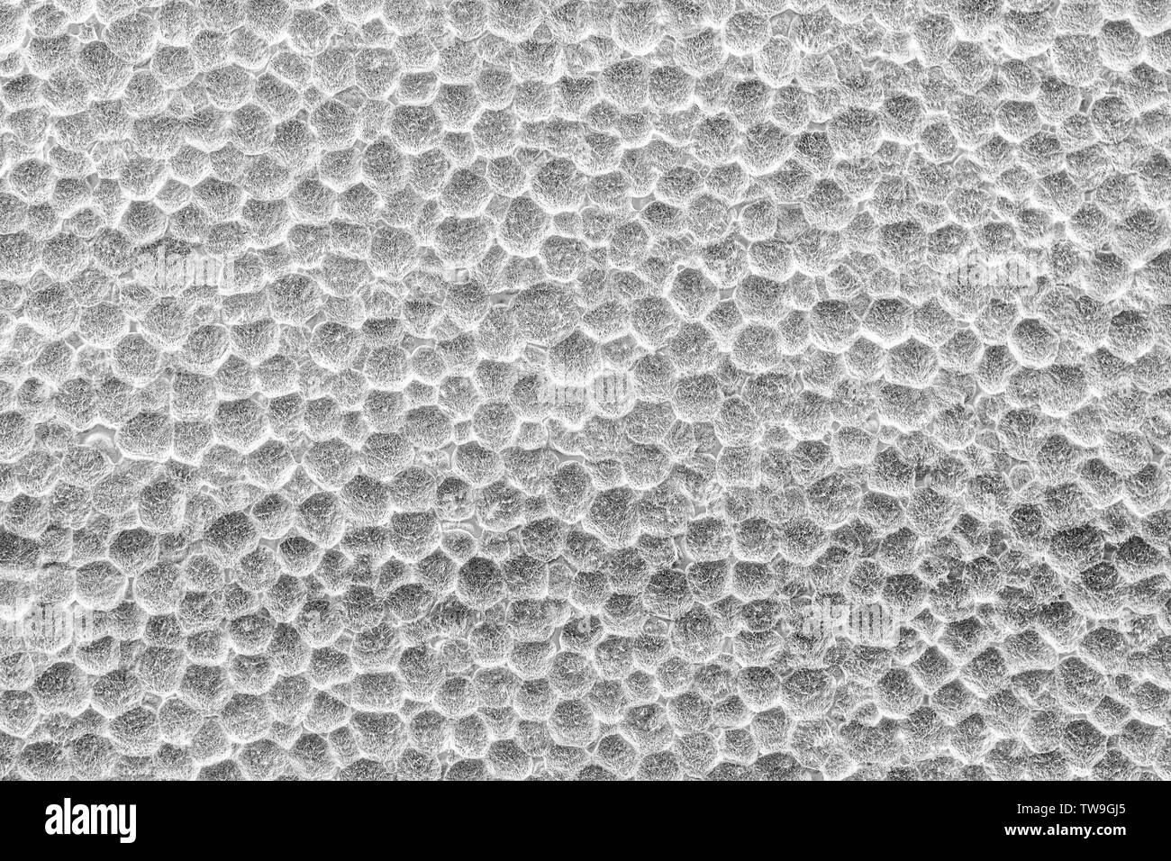 Sfondo texture styrofoam extreme close up Foto Stock
