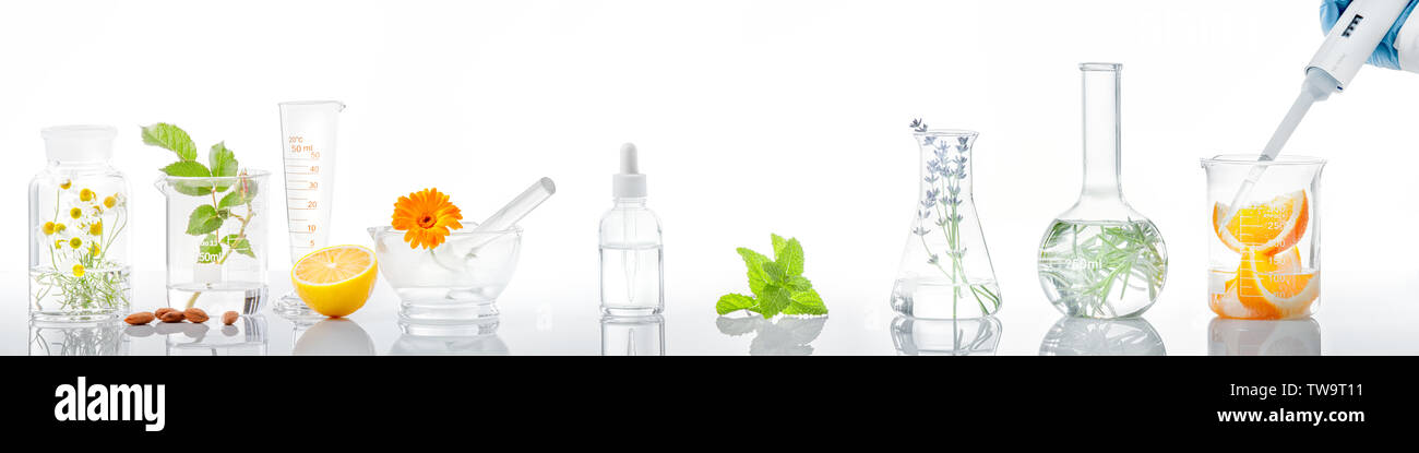 Esperimento scientifico.Erbe,fiore e orange in tubi di prova Foto Stock