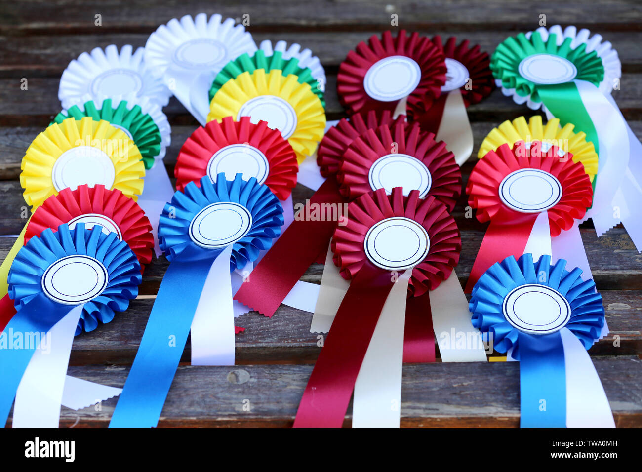 Rosette di premio per il vincitore in vari colori. Nastri colorati badges per campioni equestre sulla concorrenza dressage Foto Stock