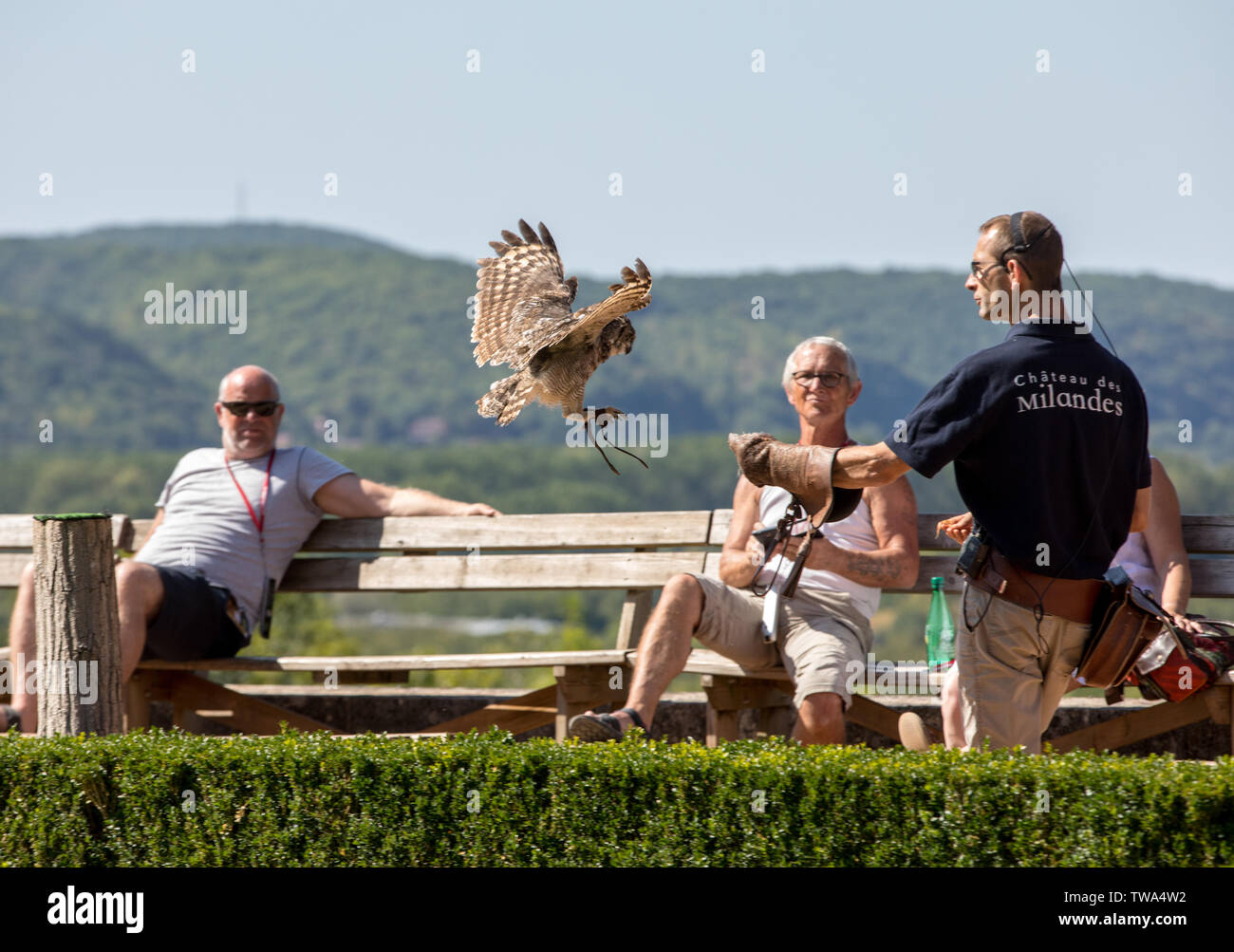 Milandes, Francia - 4 Settembre 2018: turisti stanno a guardare lo spettacolo degli uccelli rapaci allo Chateau des Milandes, un castello in Dordogne, Aquitaine, F Foto Stock