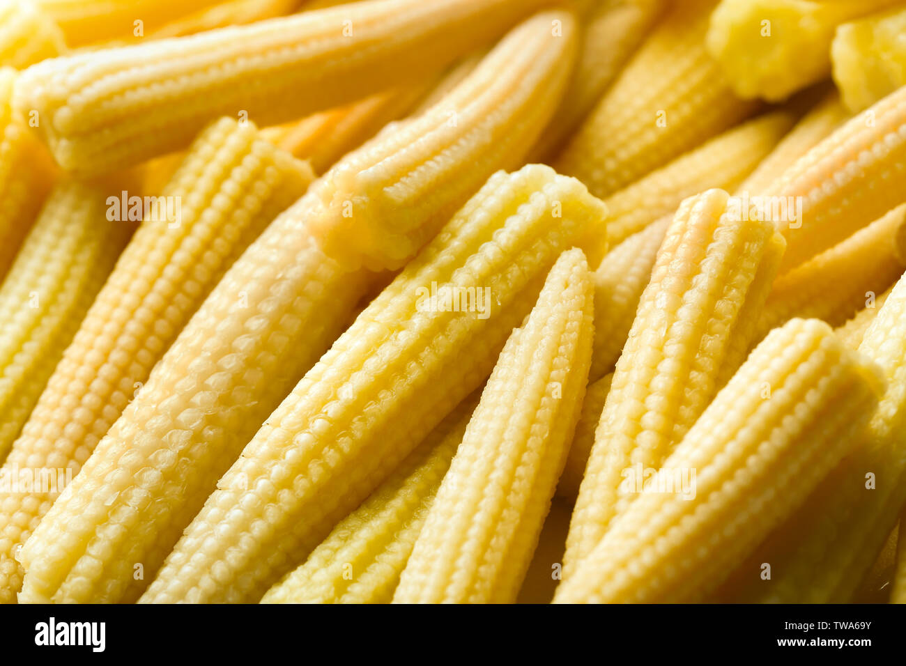 Fresca giovani baby corn, primo piano Foto Stock