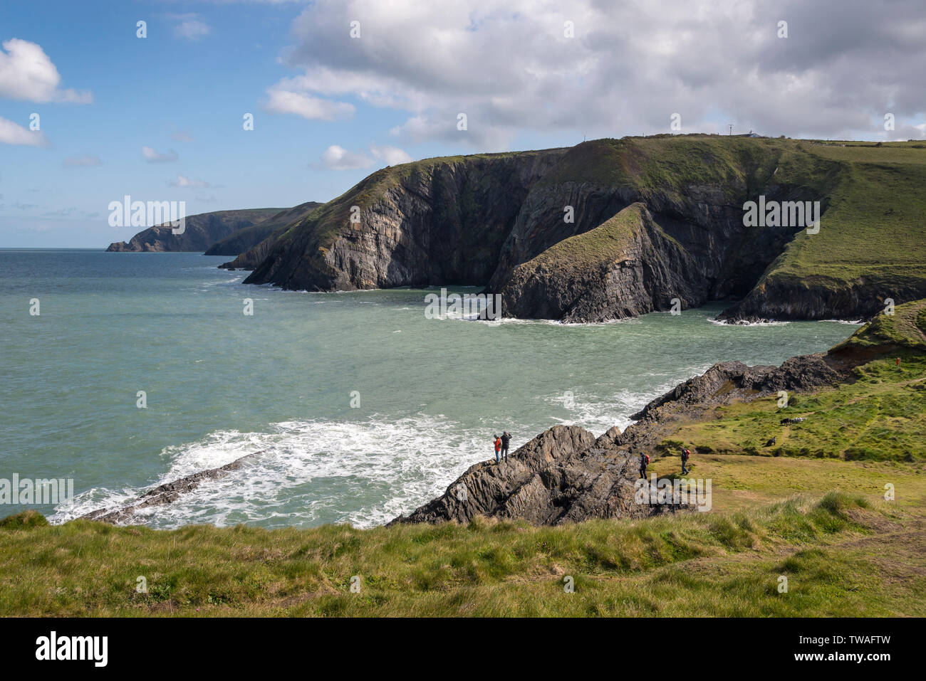 Costa frastagliata a Ceibwr baia vicino a Cardigan in Il Pembrokeshire Coast National Park. I turisti ammirando la vista sulle rocce al di sotto. Foto Stock