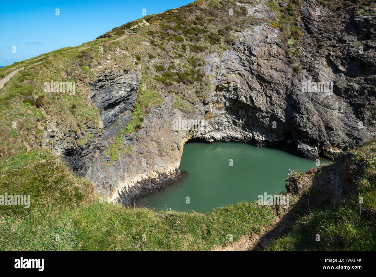 Costa frastagliata a Ceibwr baia vicino a Cardigan in Il Pembrokeshire Coast National Park. Area intorno al calderone delle streghe, una grotta collassata. Foto Stock
