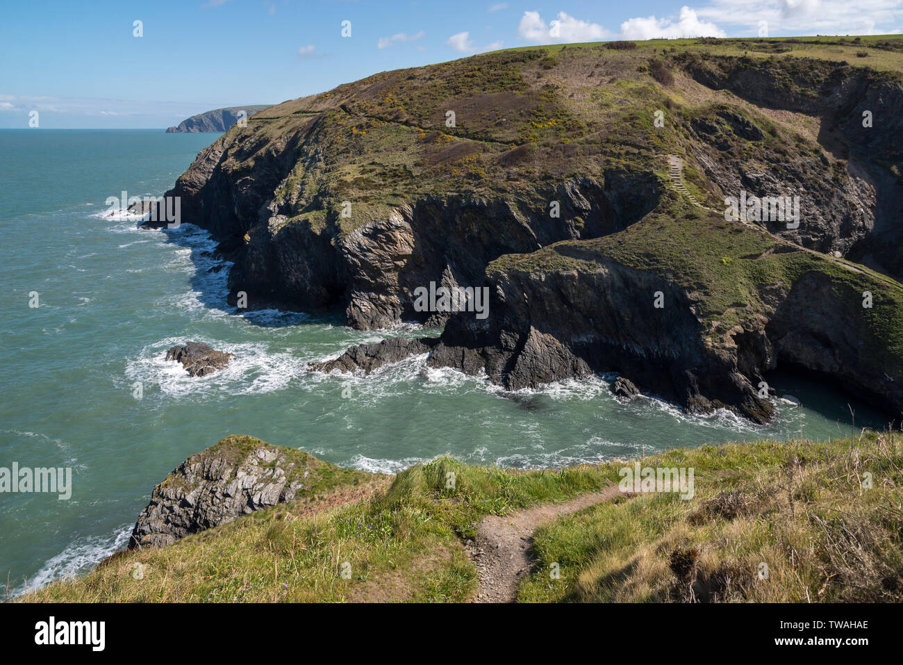 Costa frastagliata a Ceibwr baia vicino a Cardigan in Il Pembrokeshire Coast National Park. Area intorno al calderone delle streghe, una grotta collassata. Foto Stock