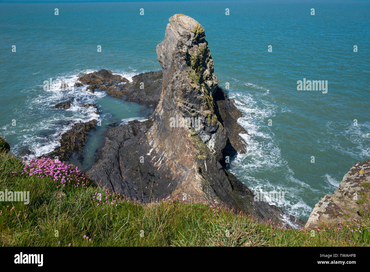 Costa frastagliata a Ceibwr baia vicino a Cardigan in Il Pembrokeshire Coast National Park. Foto Stock