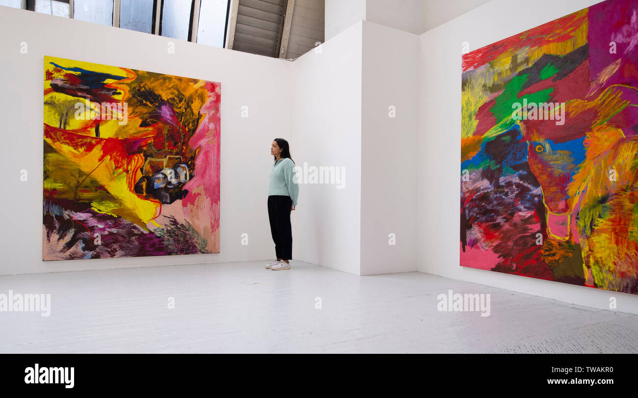 La Royal Academy of Arts di Londra, Regno Unito. Il 19 giugno 2019. L annuale RA scuole mostrano 2019 presenta il lavoro di 14 artisti di laurea presso la Reale Accademia di scuole. La mostra coinciderà con il 250° anniversario della RA scuole che è stata fondata nel 1769 e rimane la più lunga istituito art school in Gran Bretagna, offrendo gratuitamente un tre anni di corso post-laurea sostenere gli artisti della generazione successiva. Immagine: opere di Rachel Jones. Credito: Malcolm Park/Alamy Live News. Foto Stock