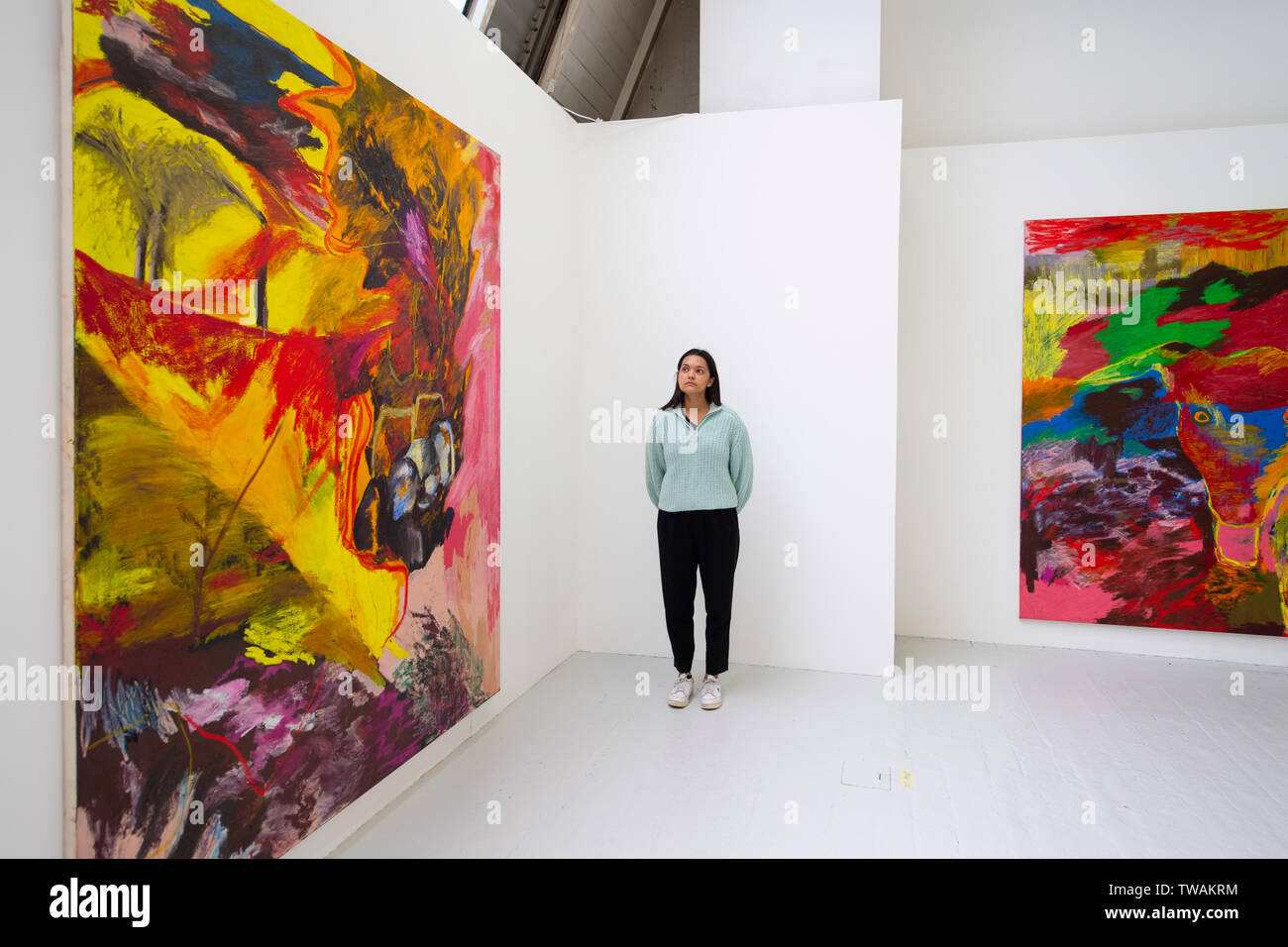 La Royal Academy of Arts di Londra, Regno Unito. Il 19 giugno 2019. L annuale RA scuole mostrano 2019 presenta il lavoro di 14 artisti di laurea presso la Reale Accademia di scuole. La mostra coinciderà con il 250° anniversario della RA scuole che è stata fondata nel 1769 e rimane la più lunga istituito art school in Gran Bretagna, offrendo gratuitamente un tre anni di corso post-laurea sostenere gli artisti della generazione successiva. Immagine: opere di Rachel Jones. Credito: Malcolm Park/Alamy Live News. Foto Stock