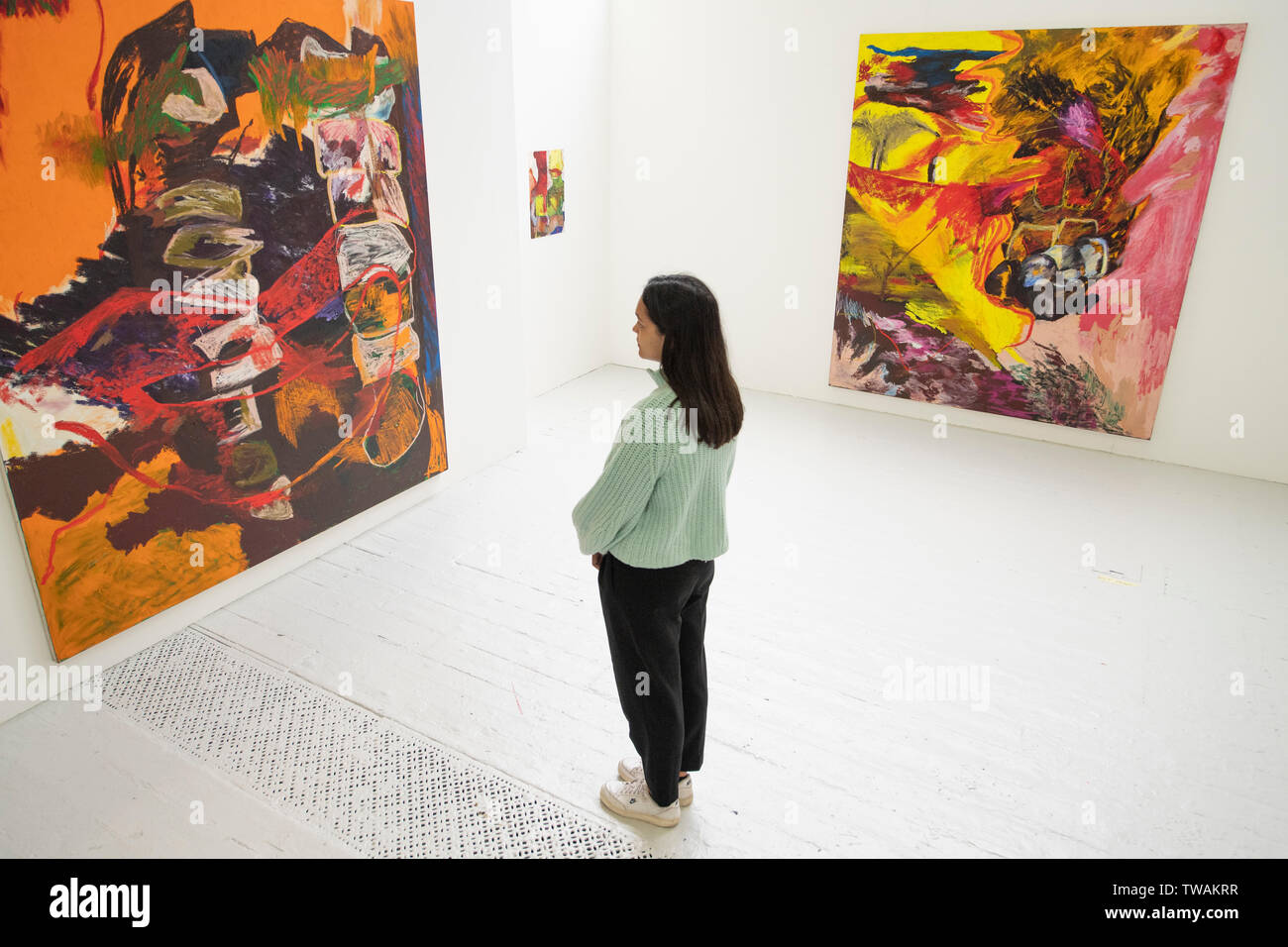 La Royal Academy of Arts di Londra, Regno Unito. Il 19 giugno 2019. L annuale RA scuole mostrano 2019 presenta il lavoro di 14 artisti di laurea presso la Reale Accademia di scuole. La mostra coinciderà con il 250° anniversario della RA scuole che è stata fondata nel 1769 e rimane la più lunga istituito art school in Gran Bretagna, offrendo gratuitamente un tre anni di corso post-laurea sostenere gli artisti della generazione successiva. Immagine: opere di Rachel Jones. Credito: Malcolm Park/Alamy Live News. Foto Stock