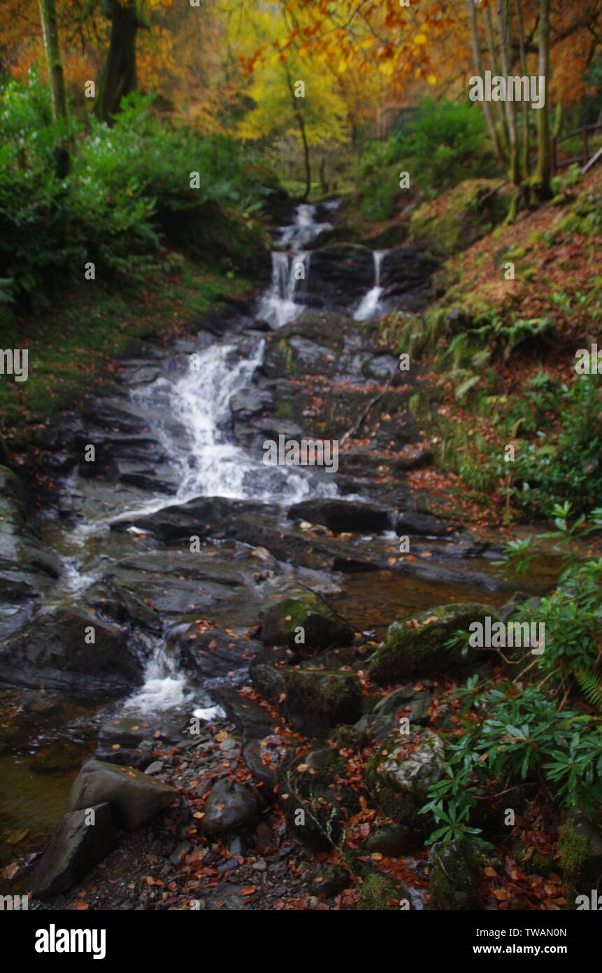 Il Loch Lomond e Cowal modo. Cowal peninsula. Highlands. La Scozia. Regno Unito Foto Stock