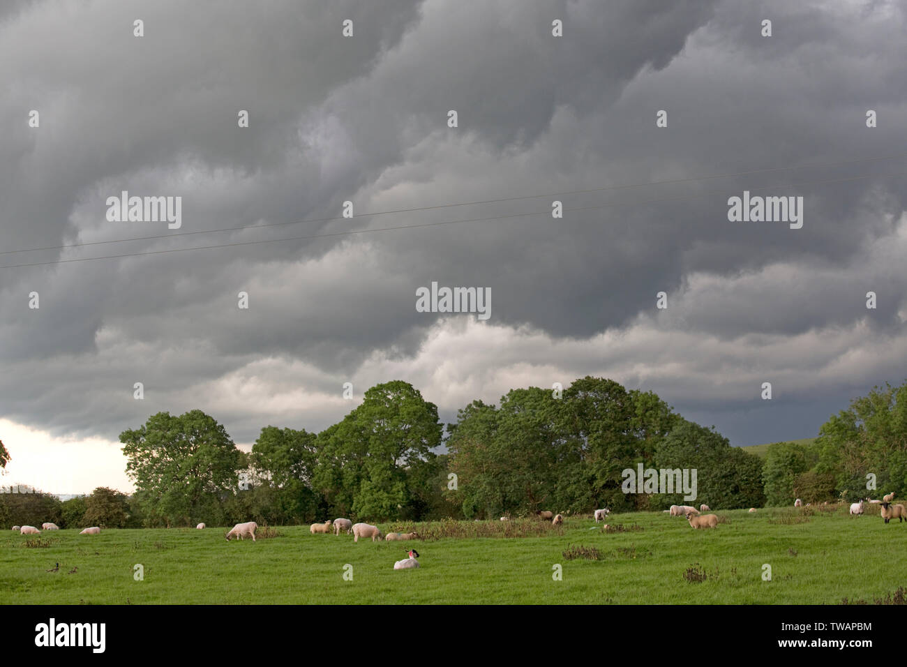 Oscura pioggia nuvole di tempesta Miguel che incombe sul pascolo di ovini, circostante mickleton, Chipping Campden, Regno Unito Foto Stock