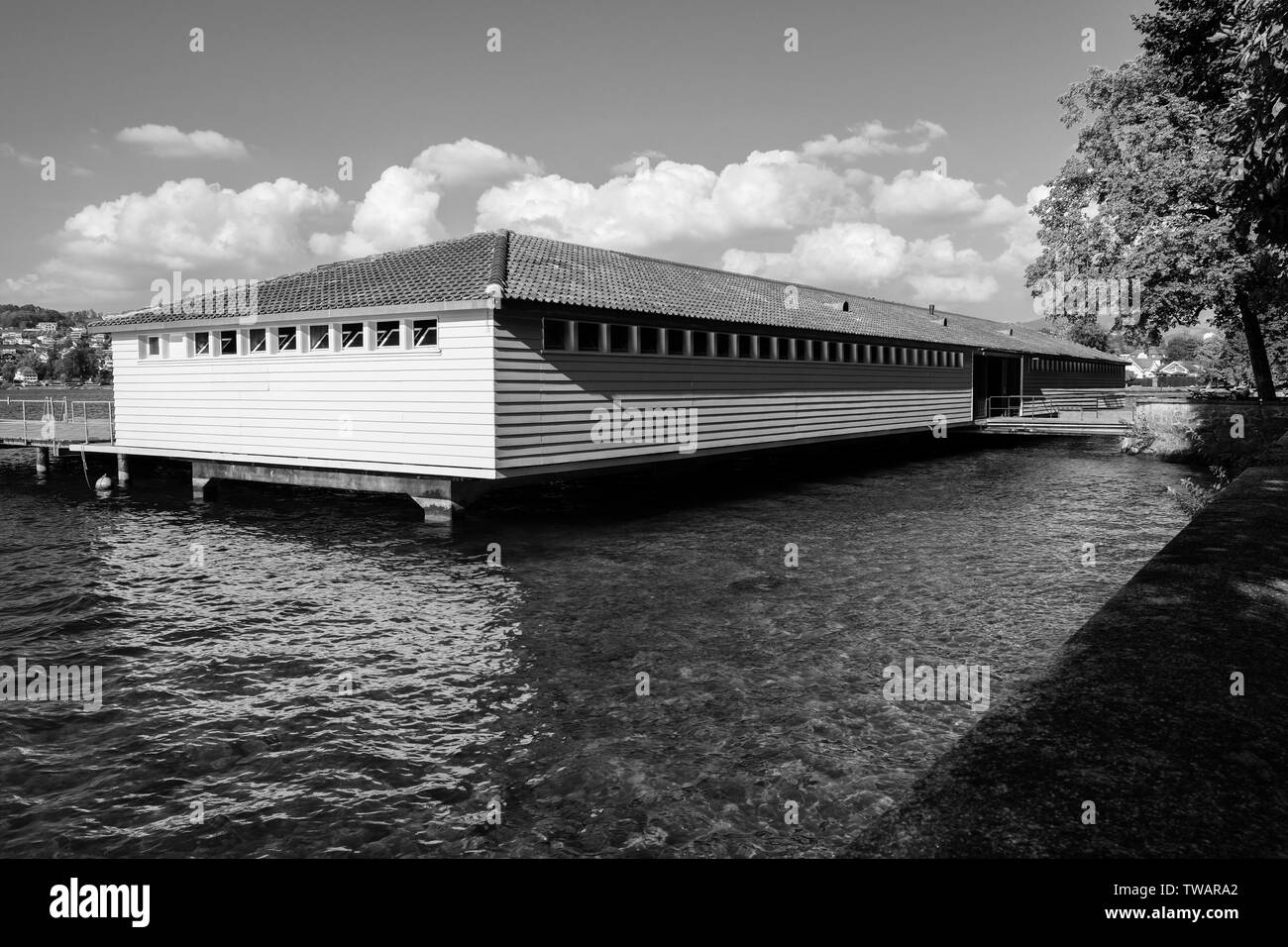 Natura piscina sulla riva del lago in bianco e nero Foto Stock