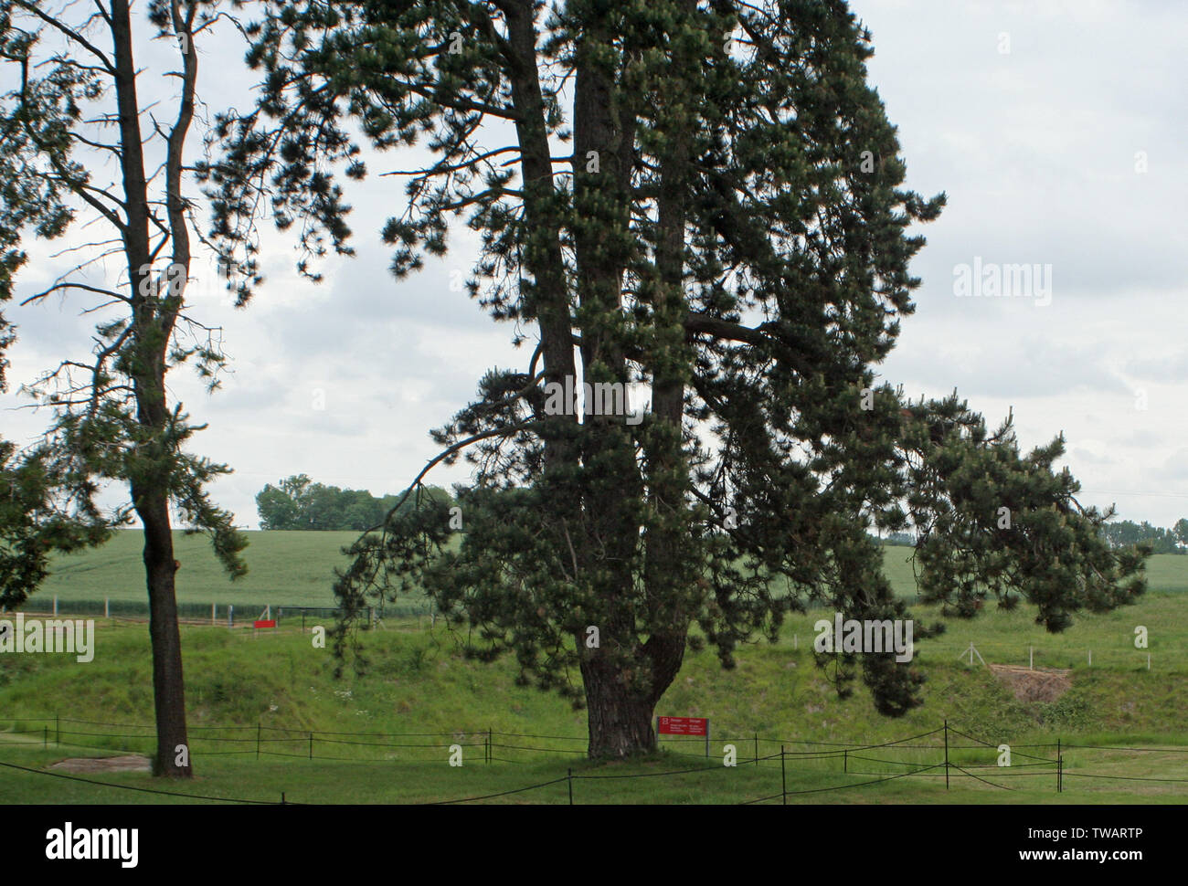 Terranova Memorial Park Foto Stock