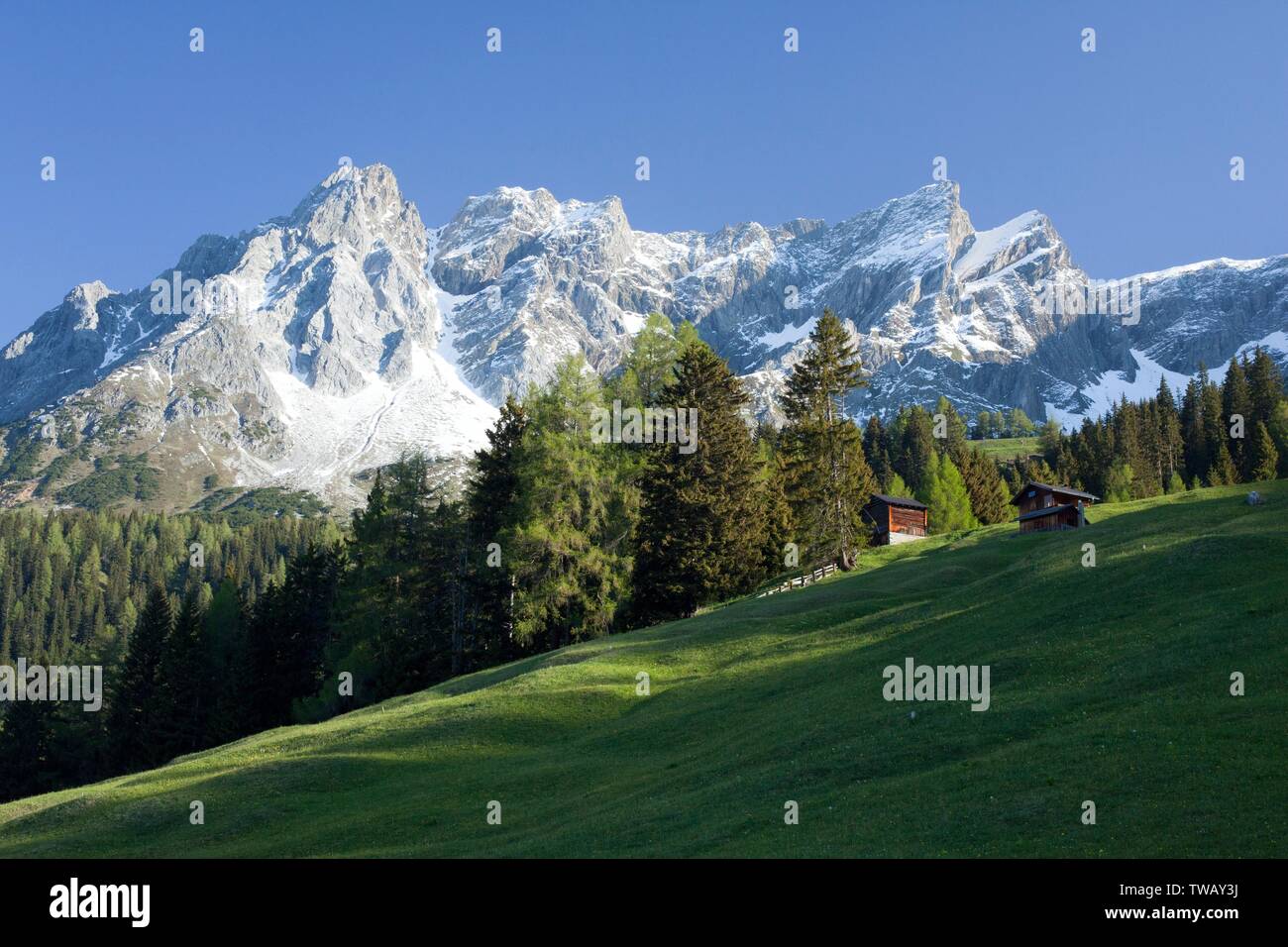 Austria, Tirolo, Alpi Lechtal, Eisenspitze (vetta) dall'Alto. Foto Stock