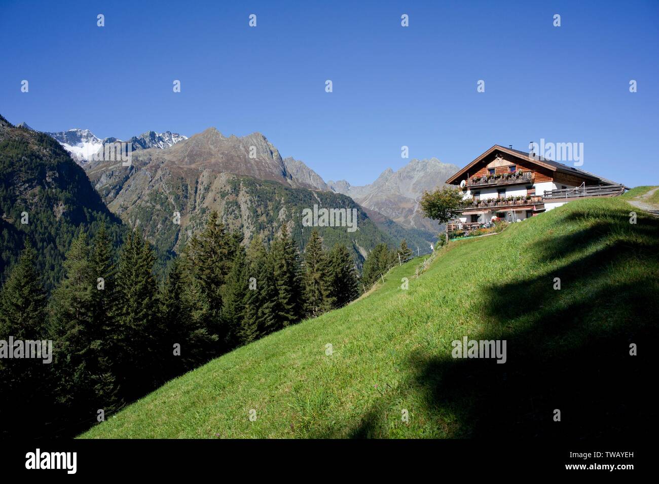 Austria, Tirolo, Alpi Oetztal, Grubealm (pascolo di montagna). Foto Stock