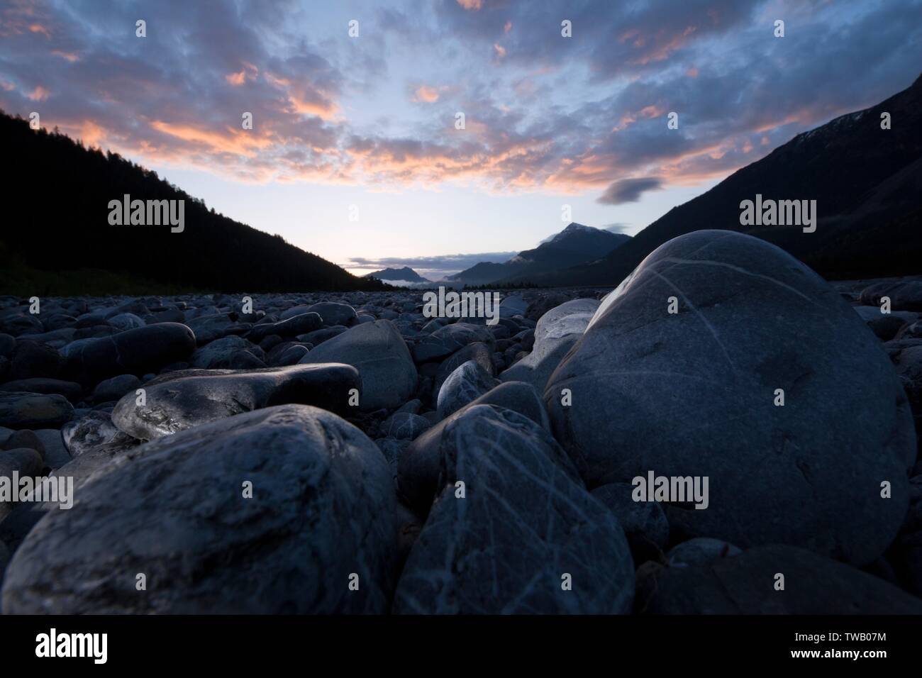 Austria, Tirolo, Alpi Lechtal, umore mattutino sul fiume Lech vicino a Forchach. Foto Stock