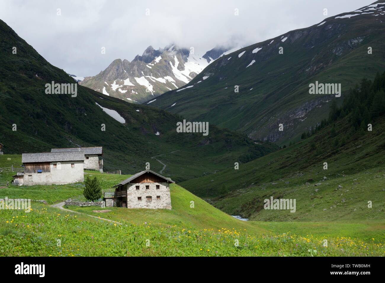 Austria, Tirolo, Defereggental (valle), Seebachalm nell'Oberhaustal (valle). Foto Stock