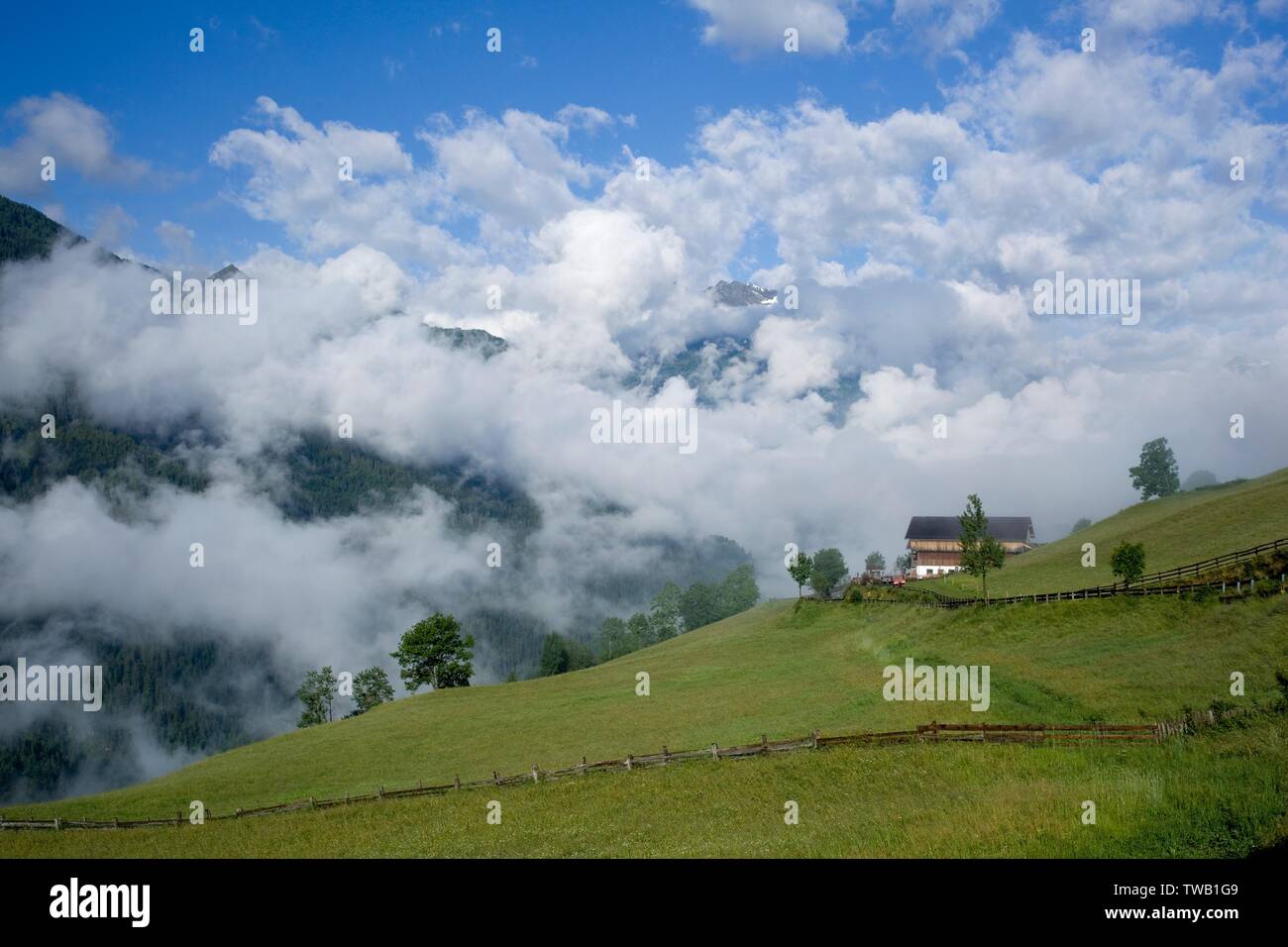 Austria, Tirolo, alti Tauri, Zedlach nella Virgental (valle). Foto Stock