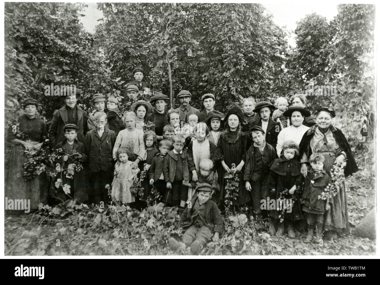 Kent raccoglitrici di luppolo. Data: 1911 Foto Stock