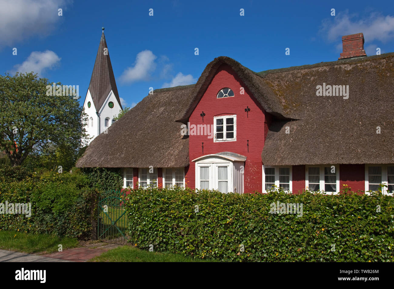 Germania, Schleswig-Holstein, casa frisone con la chiesa di San Clemente in nebbia su t. Foto Stock