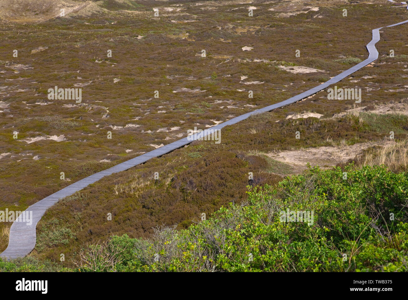 Germania, Schleswig-Holstein, camminare per mezzo delle dune sull'isola di Amrum, Mare del Nord c. Foto Stock