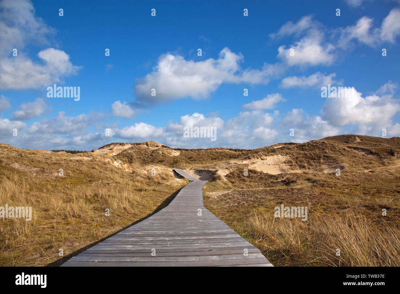 Germania, Schleswig-Holstein, camminare per mezzo delle dune sull'isola di Amrum, Mare del Nord c. Foto Stock